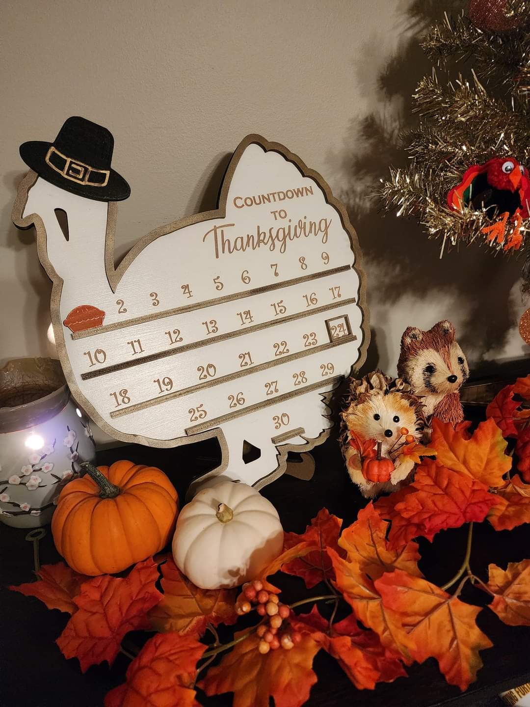 Countdown to Thanksgiving