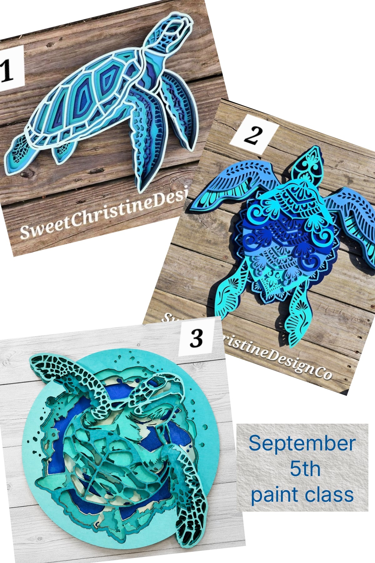 September 5th Paint Class - Sea Turtle
